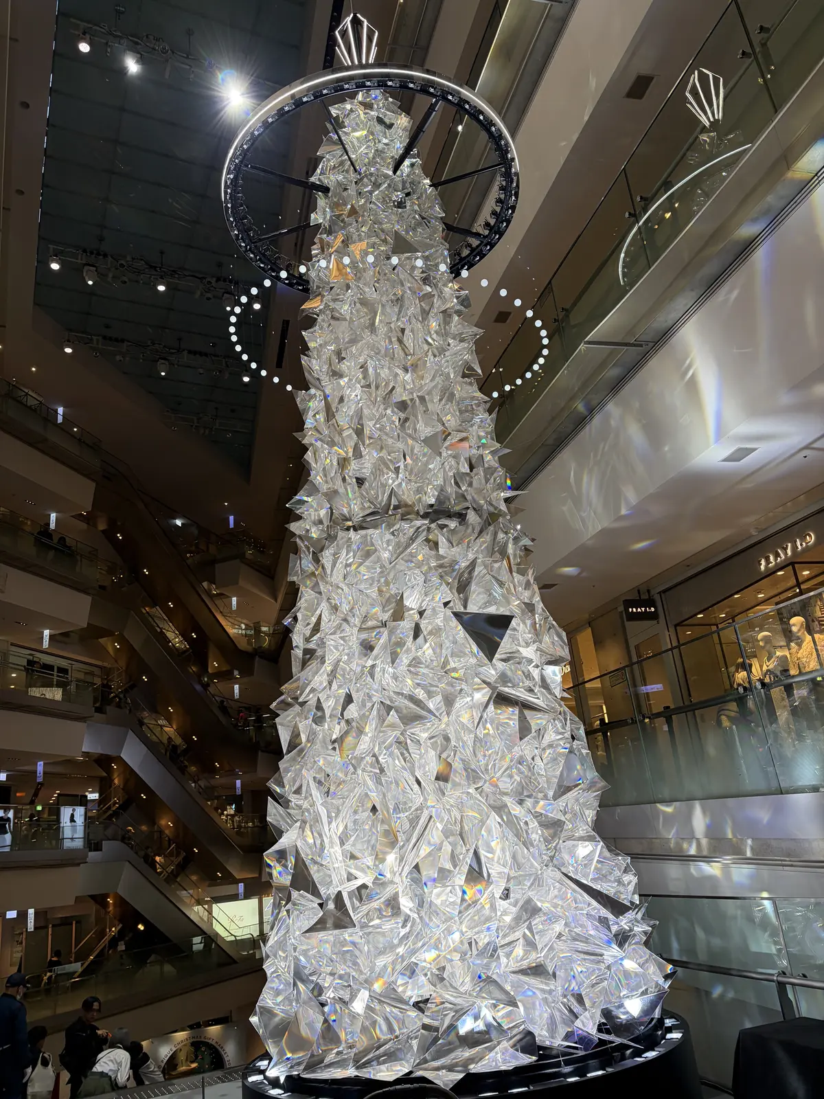 表参道ヒルズのクリスマスツリー