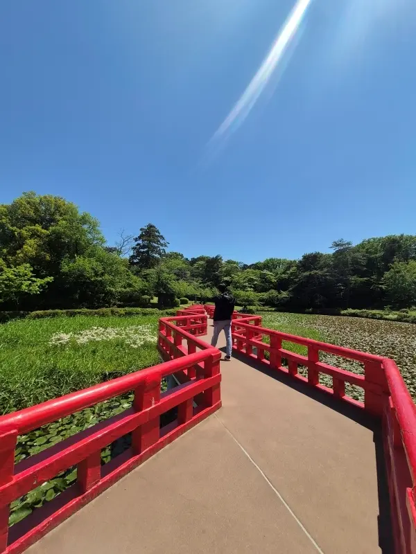 今が見ごろのバラ園と｢孤独のグルメ｣で人の画像_4