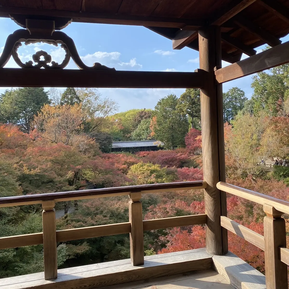紅葉の名所、京都・東福寺の通天橋から想うの画像_5