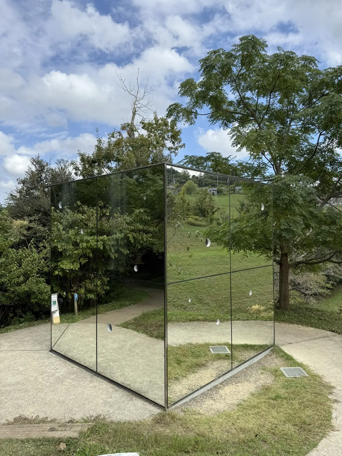 クルックフィールズ　草間彌生