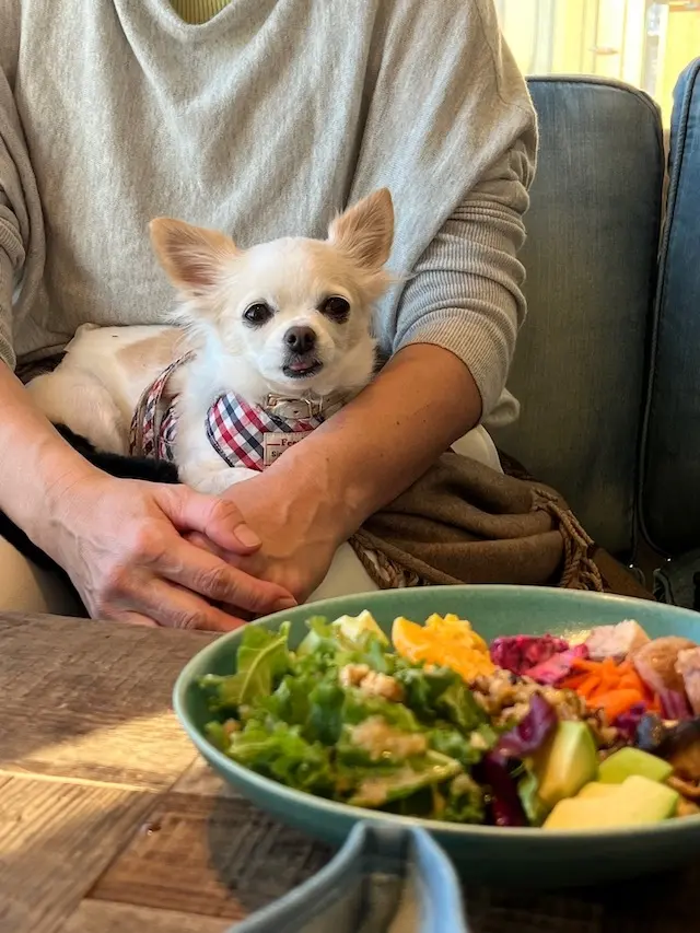 早起きは三文の徳！ 〜パノラマオーシャンの画像_12