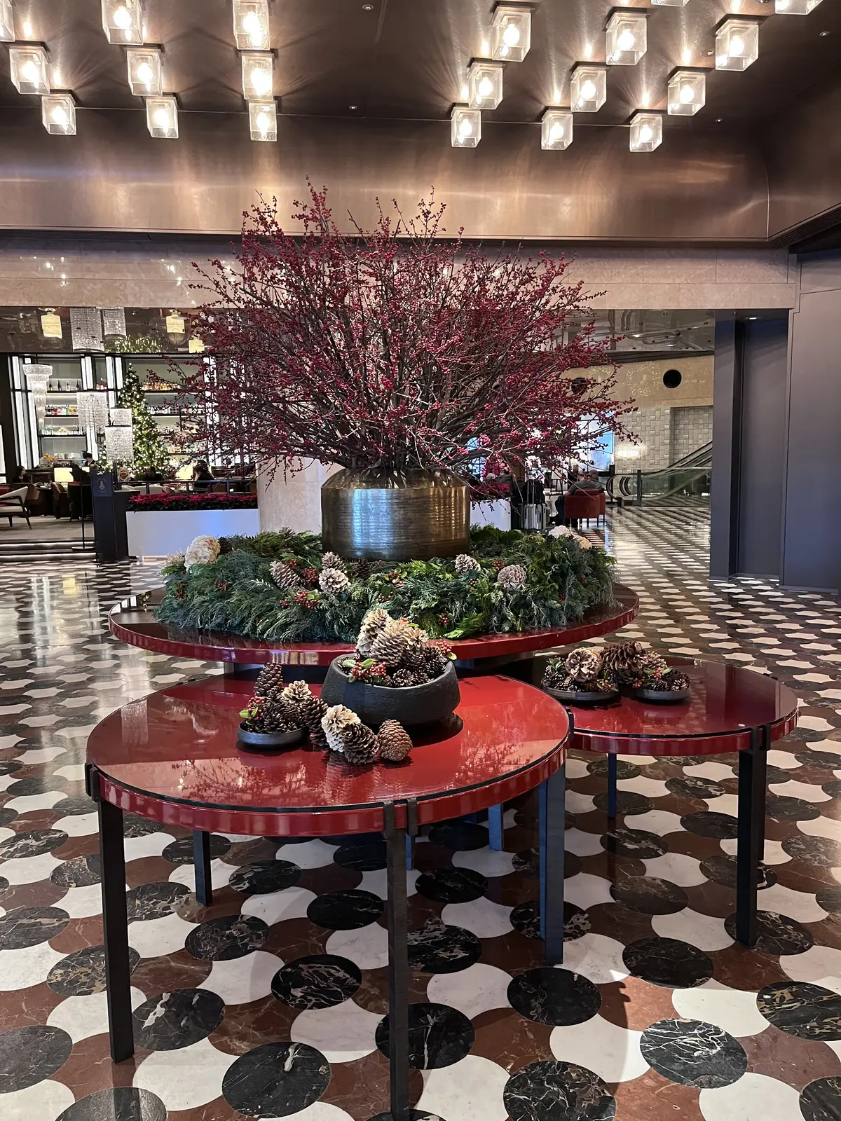 続・続・Jマダムメンバーとキラキラ観賞☆の画像_5