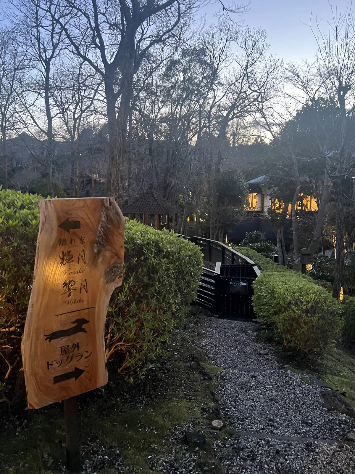 ライティングされて綺麗なお宿の敷地内