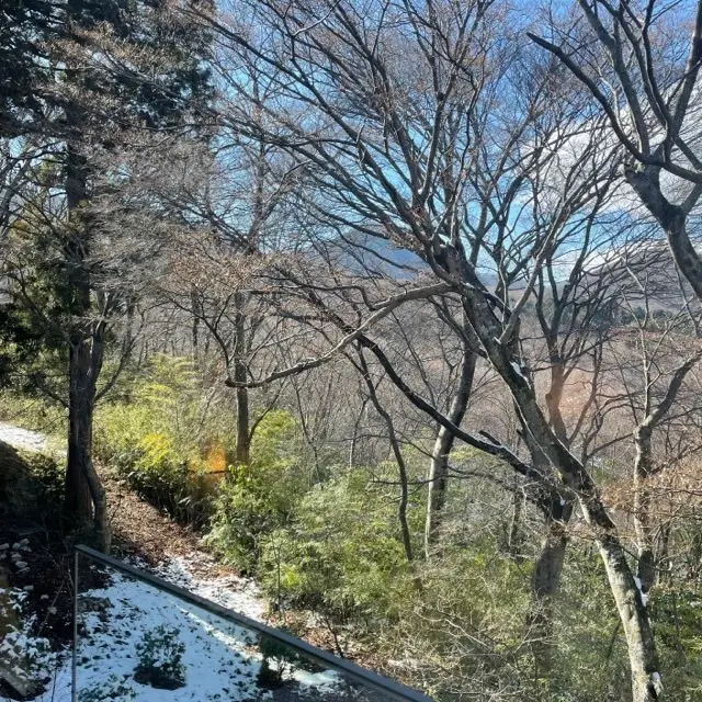 ふふ 箱根のふふラグジュアリープレミアムスイートルームから見える景色