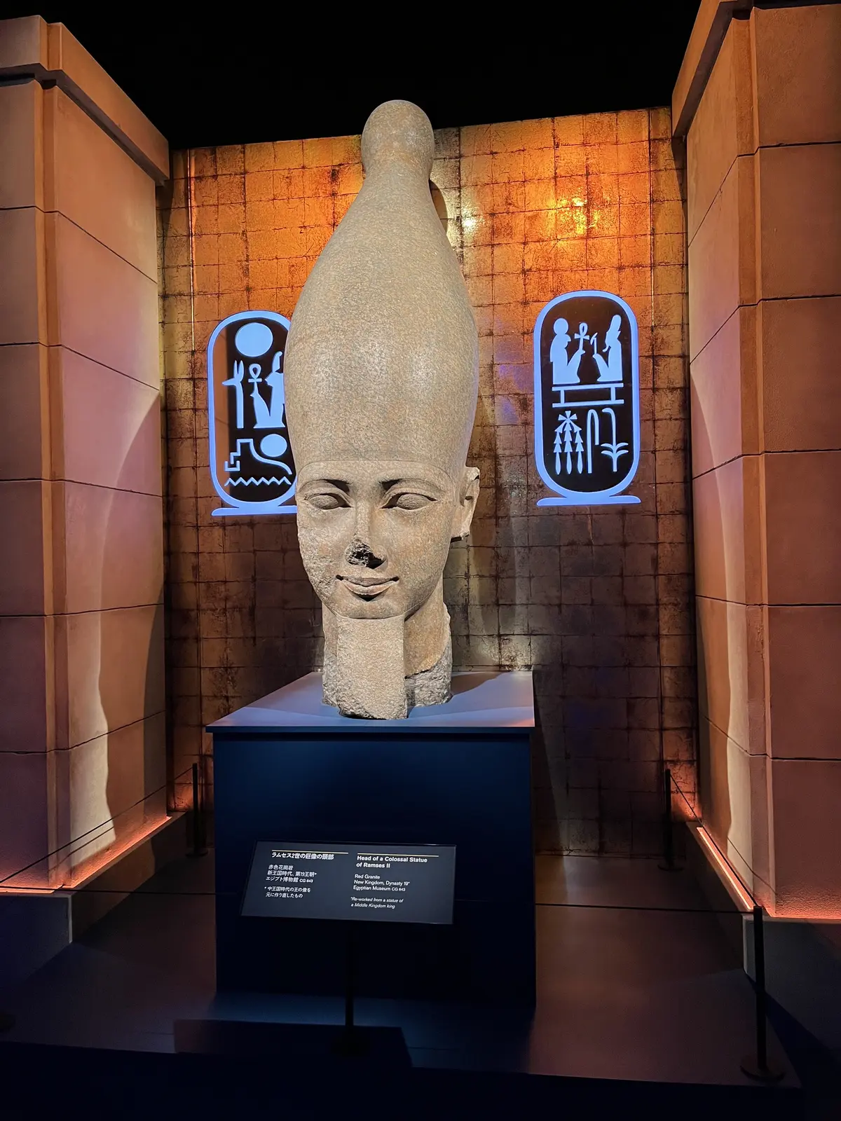 ラムセス２世の巨像頭部