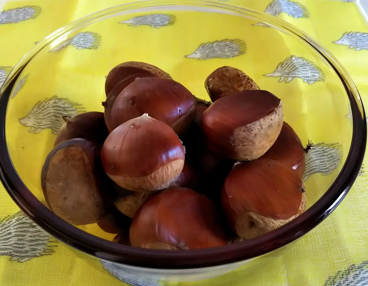 岩手県産　栗　リサラーソン