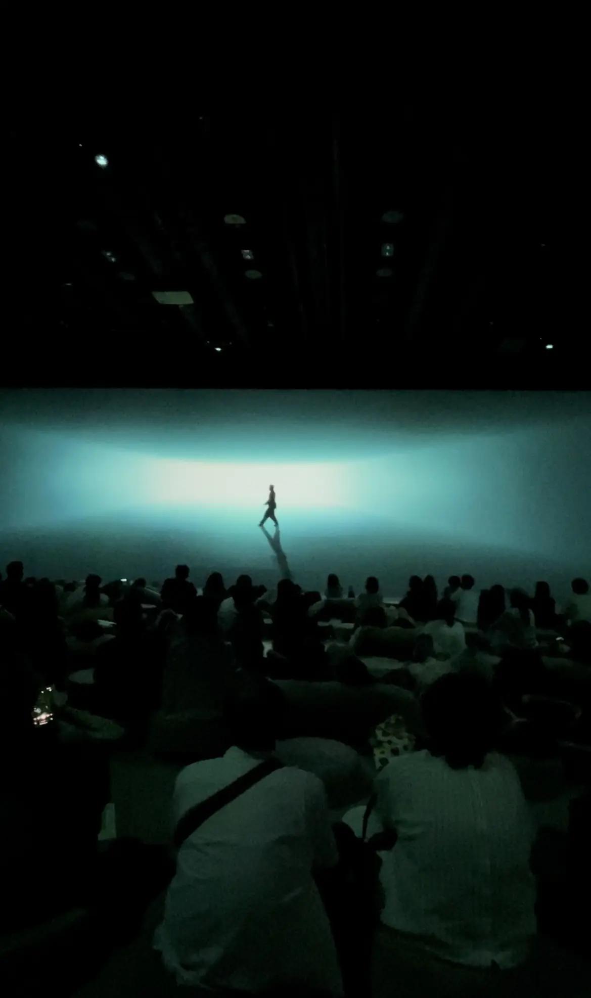 Immersive Museum TOKYO 2023、イマーシブミュージアムTOKYO 2023、ミュージアム内、映像