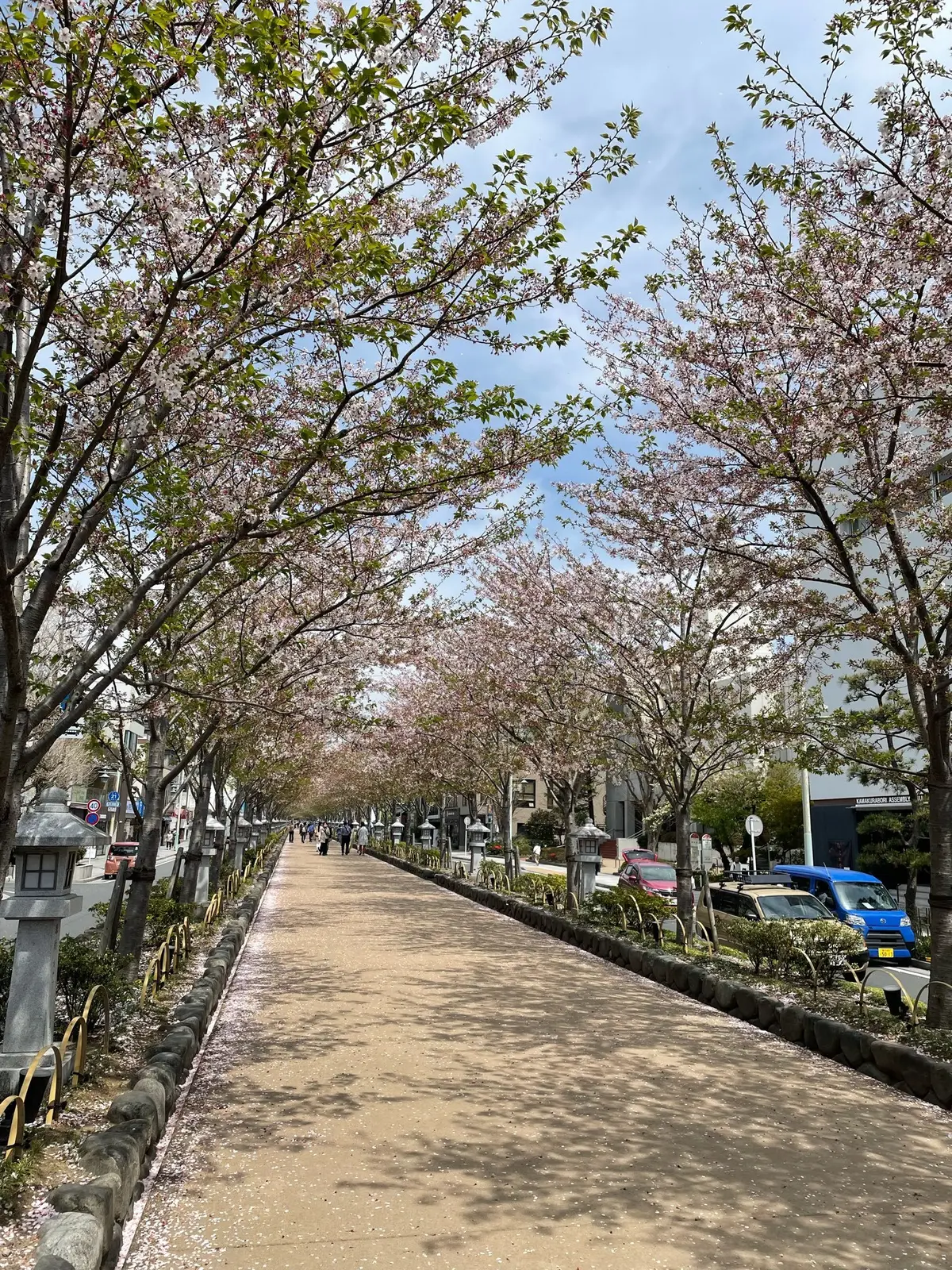 鎌倉ぶらぶら散歩の画像_2