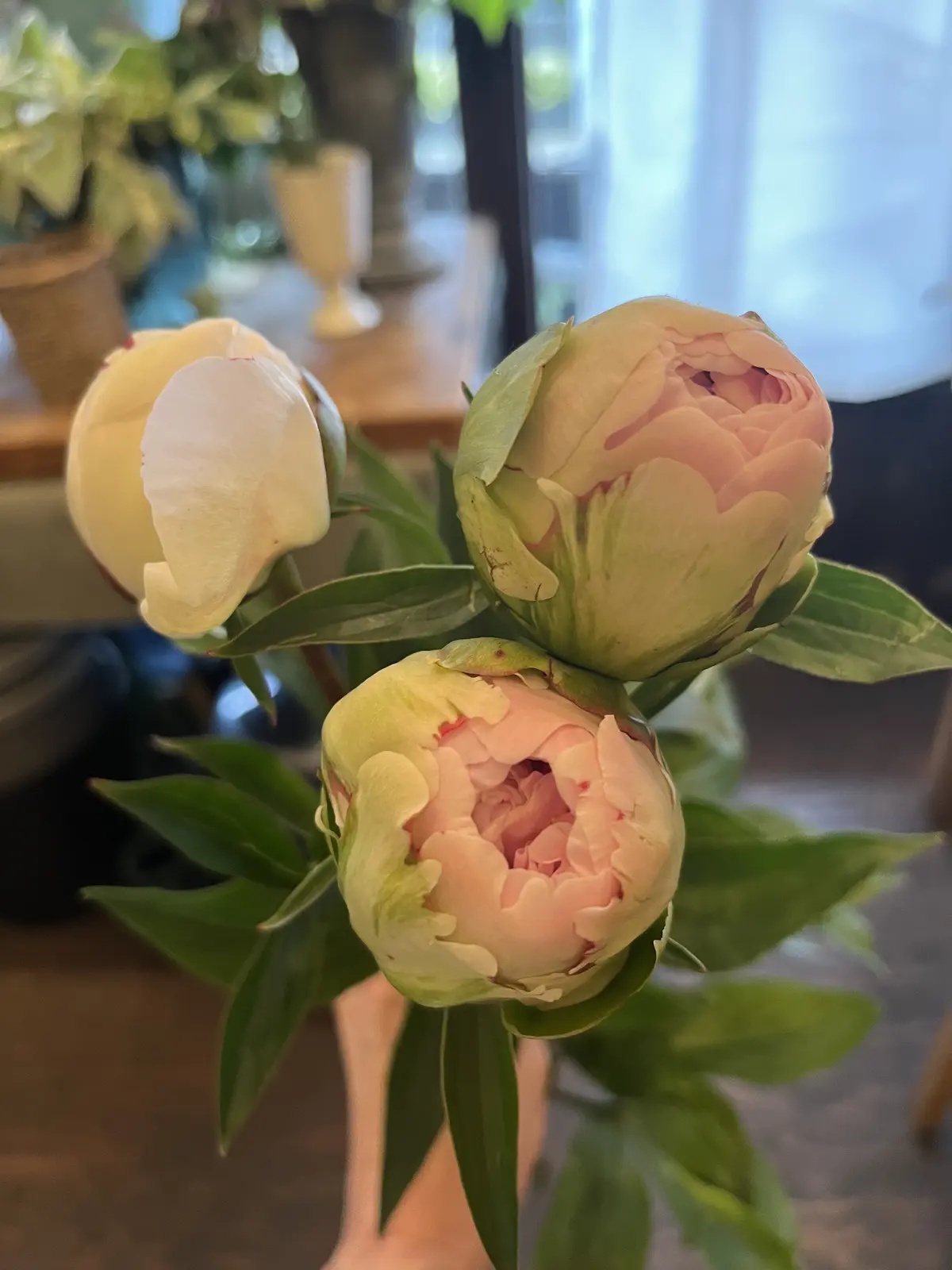 初めて選んだお花でブーケの画像_7