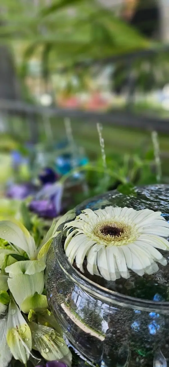 角川武蔵野ミュージアム　リアルとバーチャの画像_6