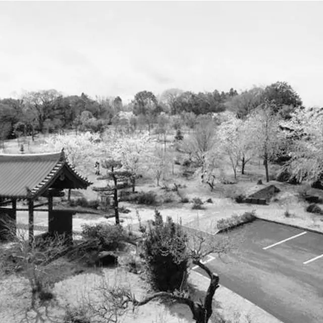 人気のお墓　里山タイプ