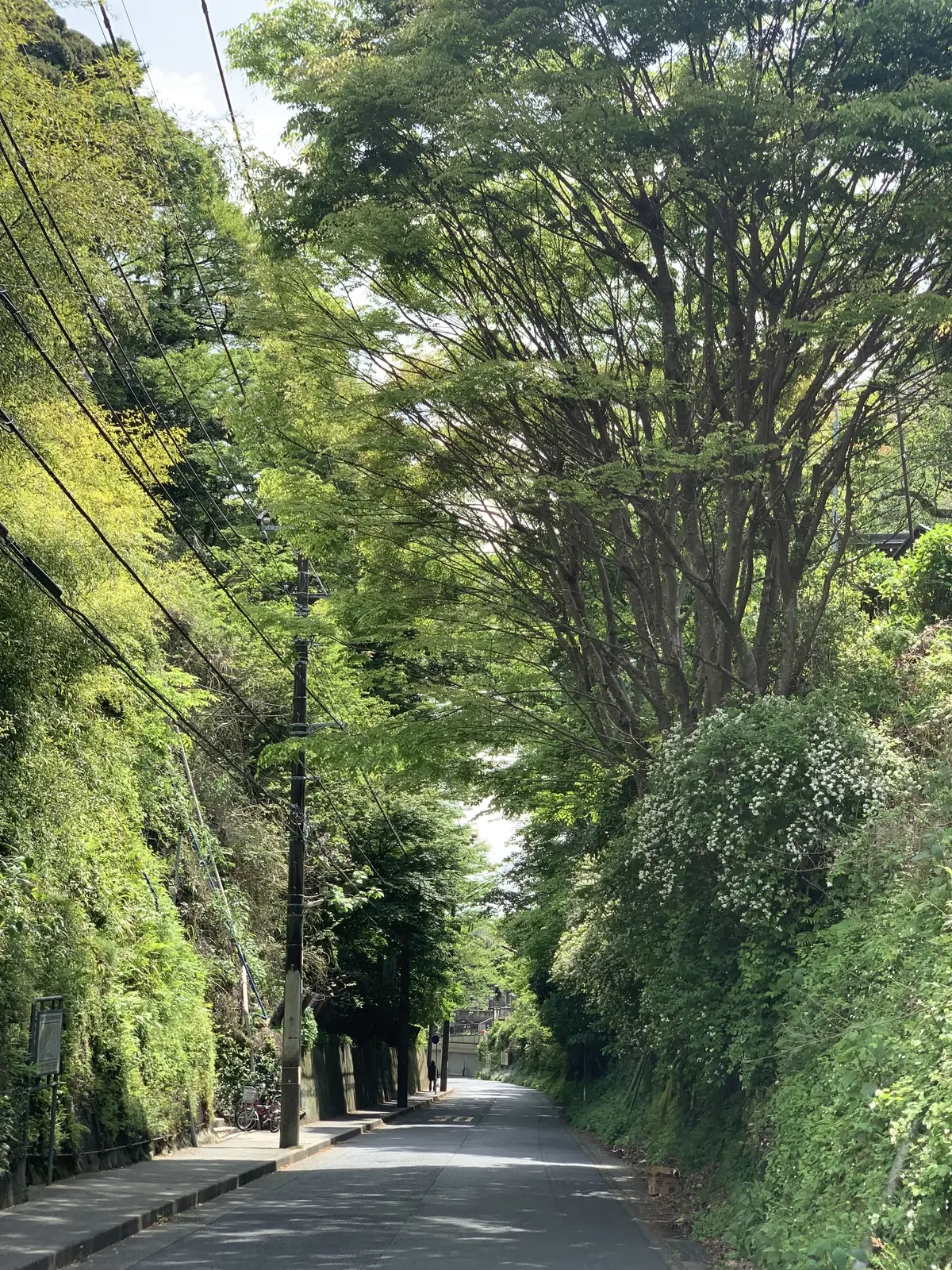 海街diary  最後から二番目の恋　ロケ地