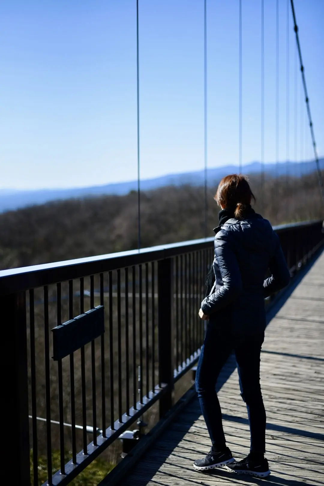 那須高原を東奔西走とおまけに仙台への画像_22