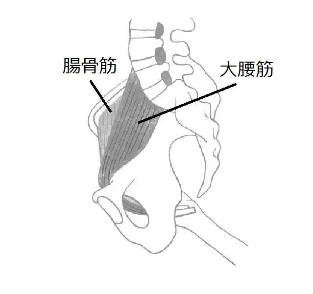 遠目にも老け見え！「ポテポテ歩き」していの画像_2
