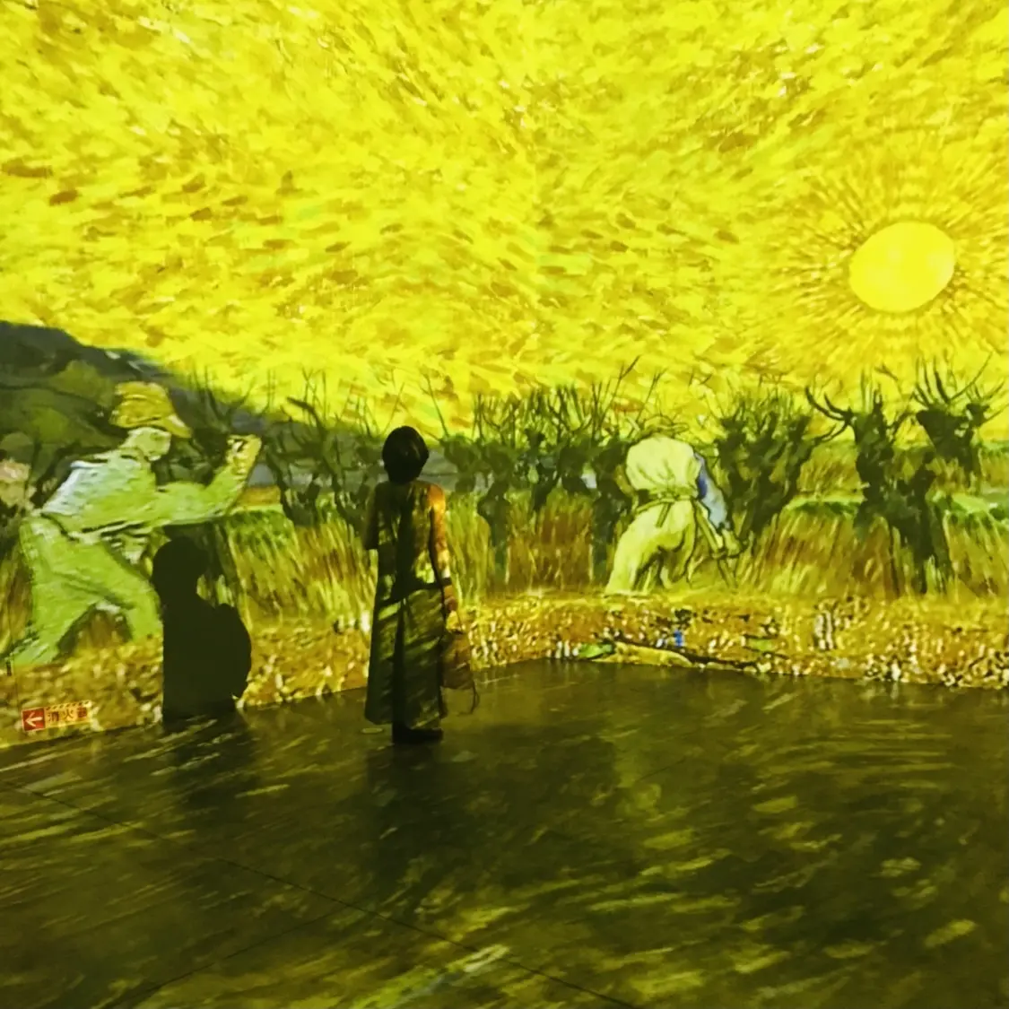 《ファン・ゴッホー僕には世界がこう見えるの画像_5