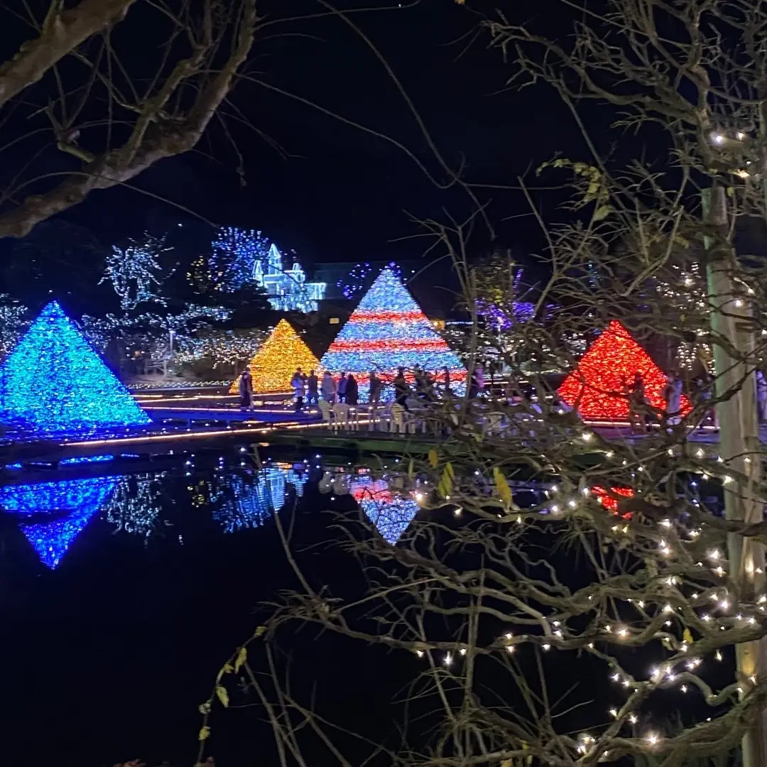 ルンルン気分で光の藤を見に♪の画像_5