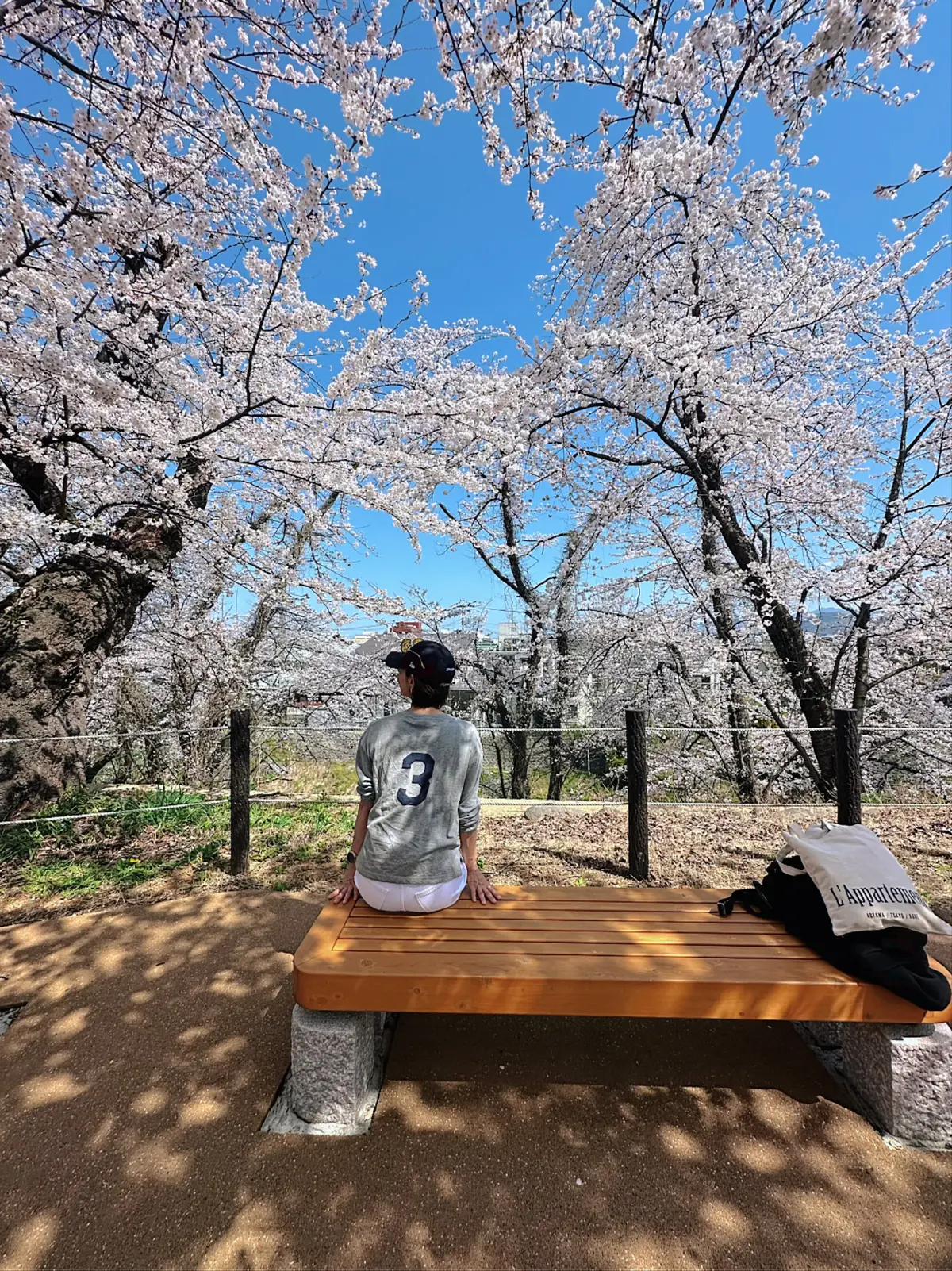 山形最強のパワースポット丸池様へ開運旅行の画像_3