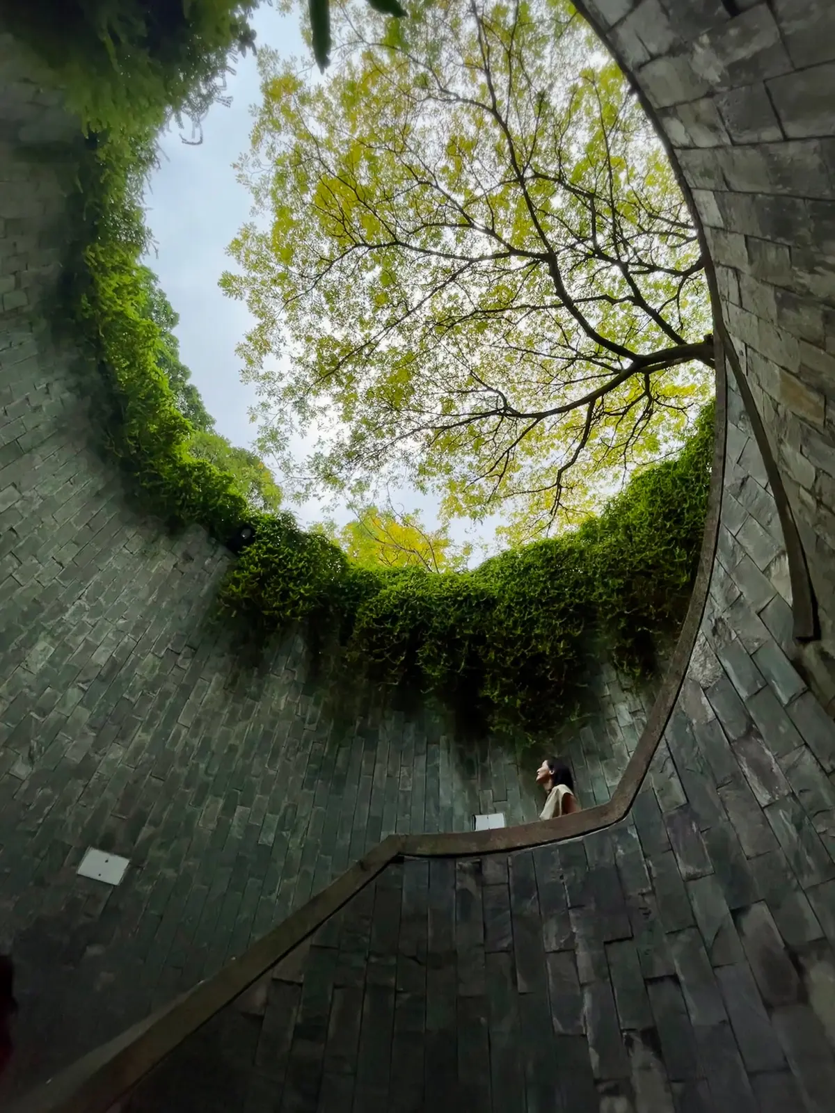 シンガポール旅行記〜オススメスポット編〜の画像_6