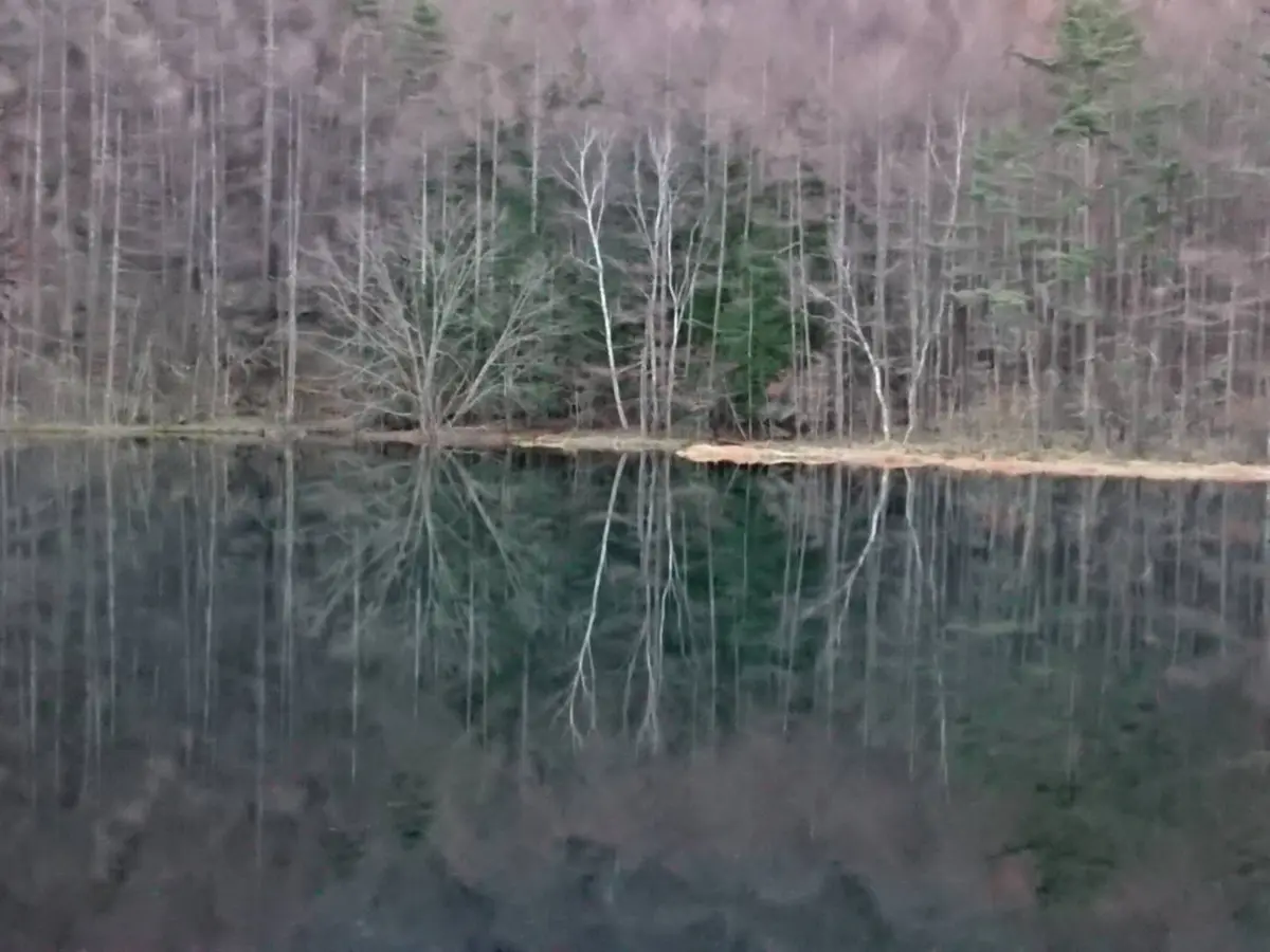 神秘的な部分をクローズアップ