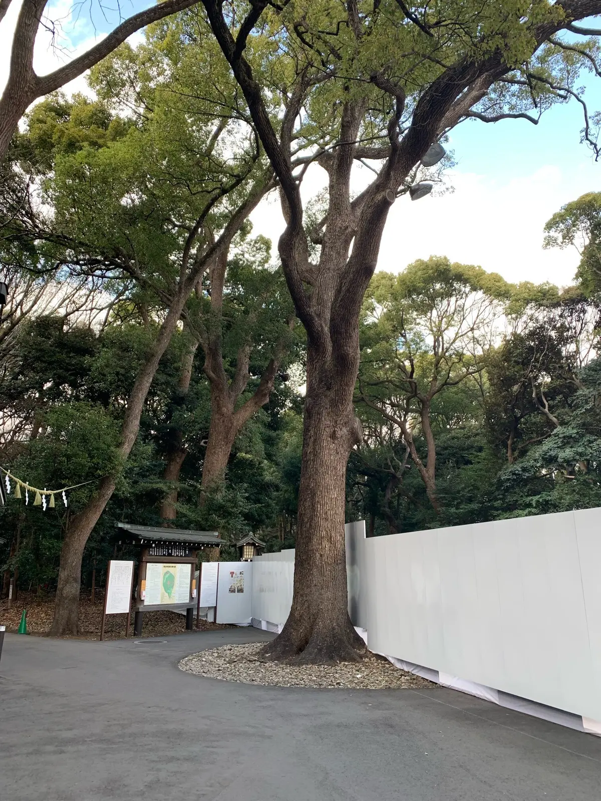 ２年目スタート！の画像_2