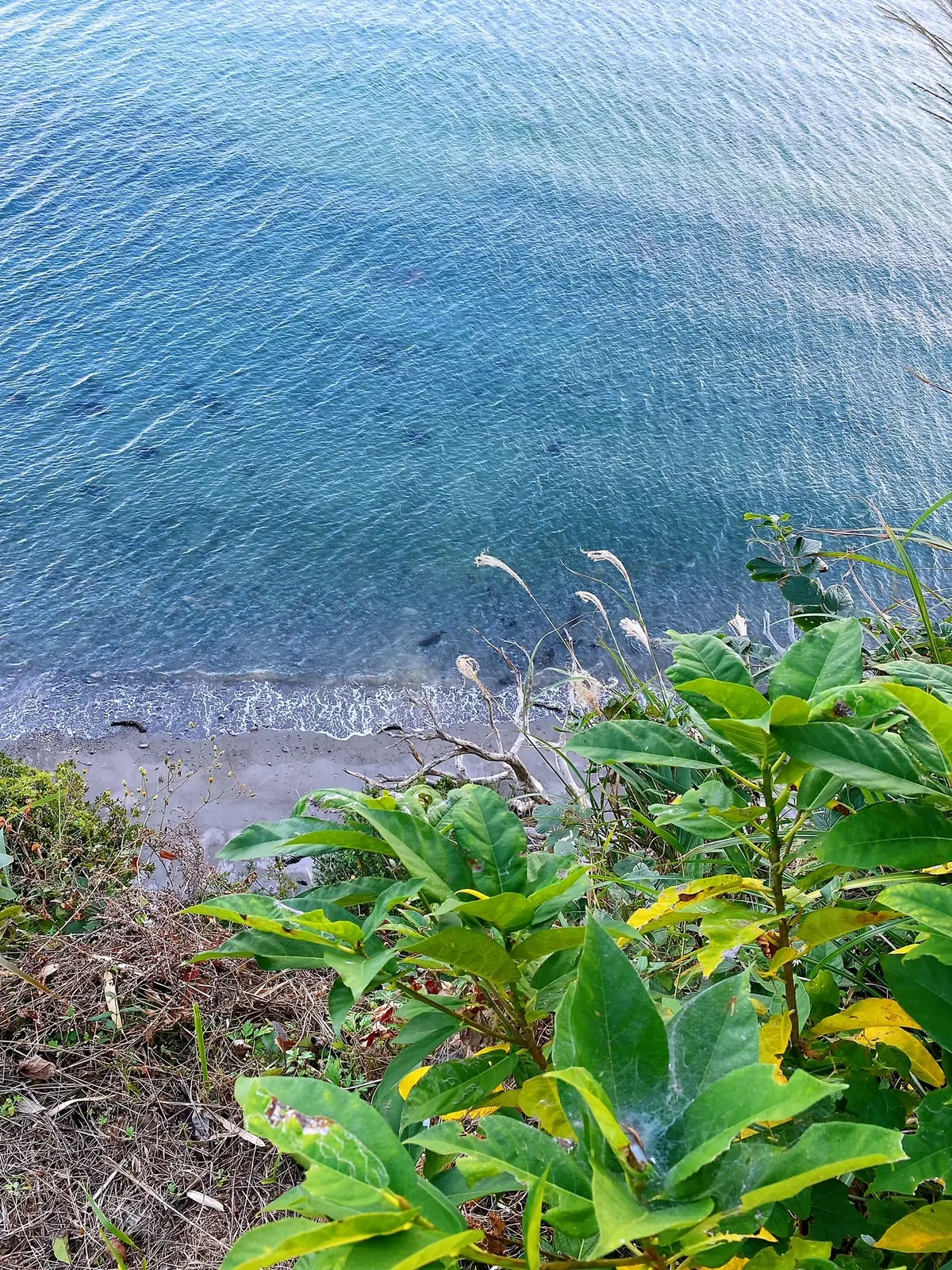 九州旅行　〜別府・美しい大神ファーム〜の画像_23