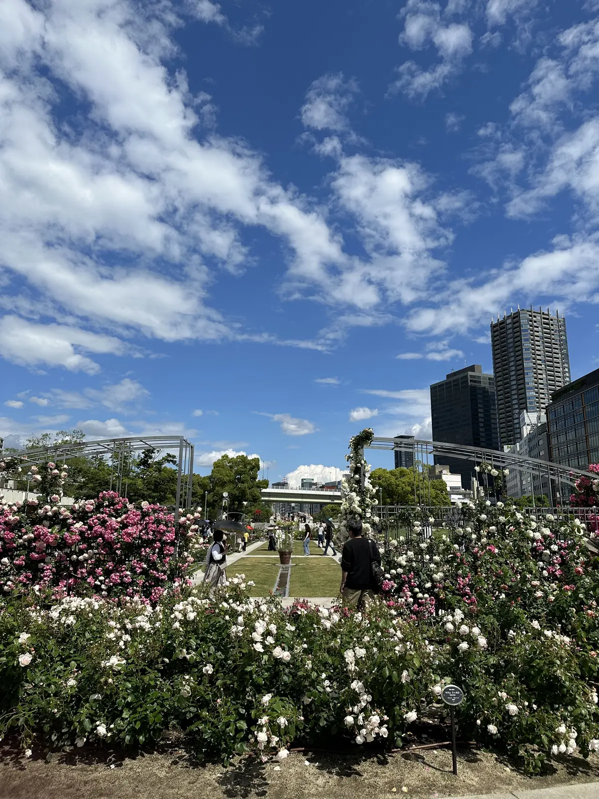 関東　関西のJマダム皆様と初めての画像_1