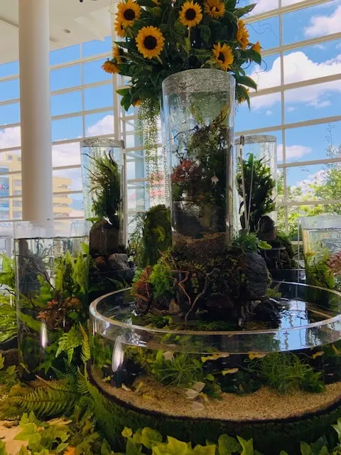 夏のきれい見えTシャツで「アラジン」の世の画像_4