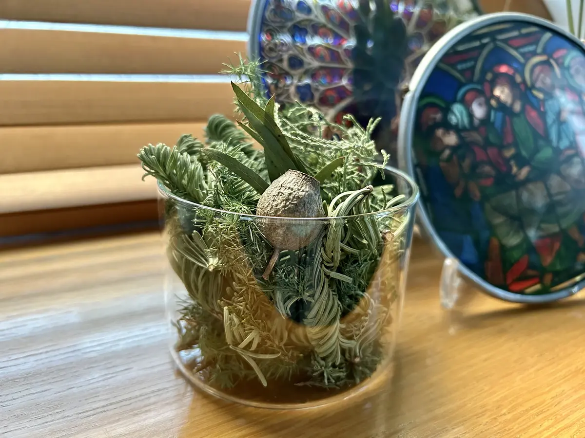 2024朝活アップデート♪の画像_13