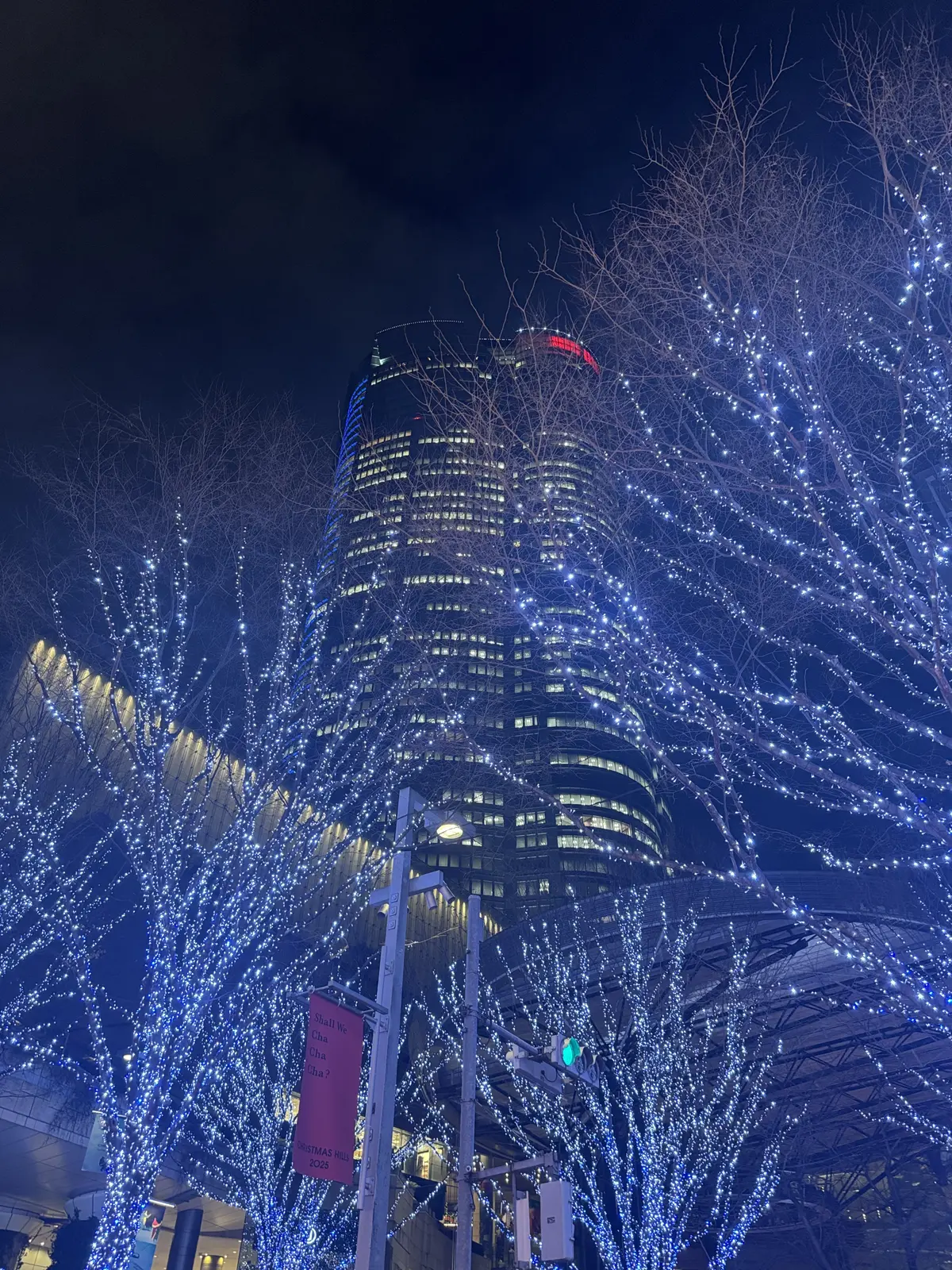 この冬見たい、心に残る東京イルミネーショの画像_3