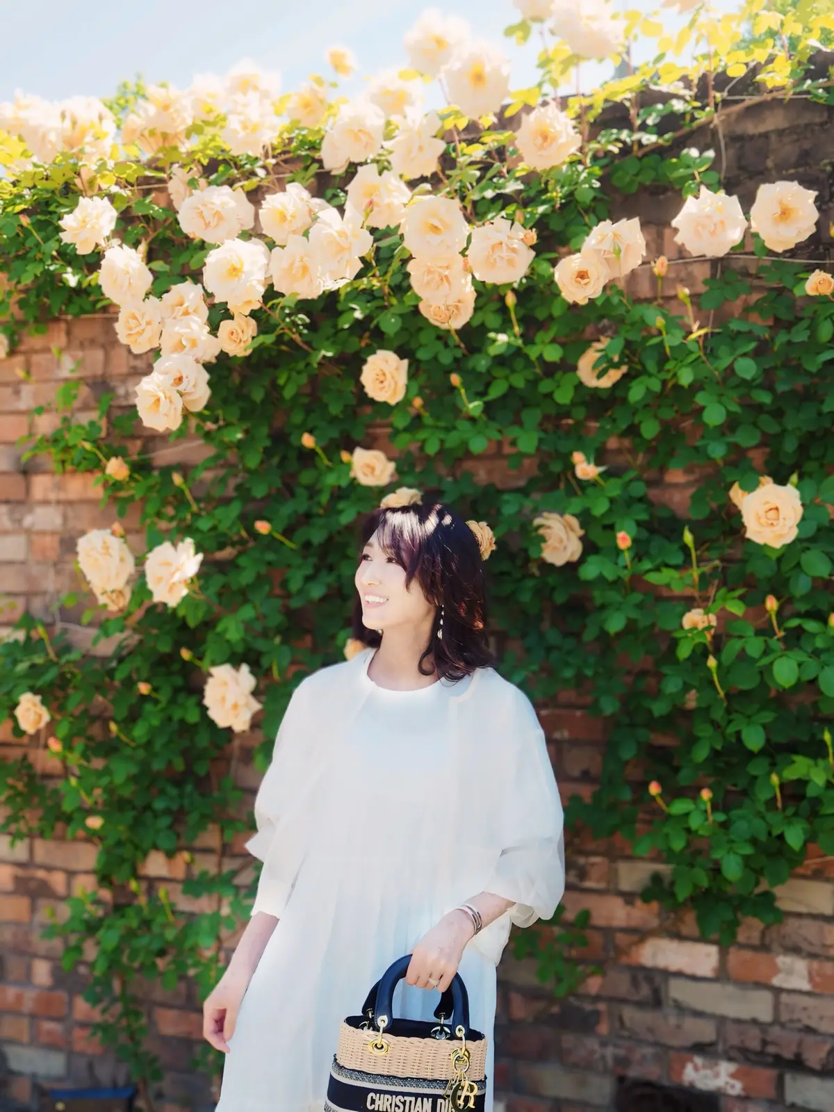 バラのテーマガーデン