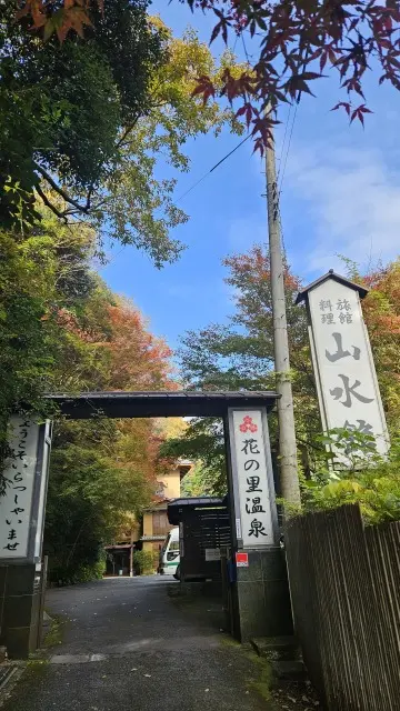 UNIQLO感謝祭戦利品とお気に入りスニの画像_7