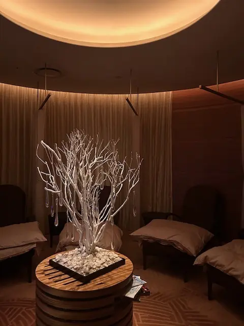 コンラッド東京限定 ヴァルモン・ボディトの画像_6