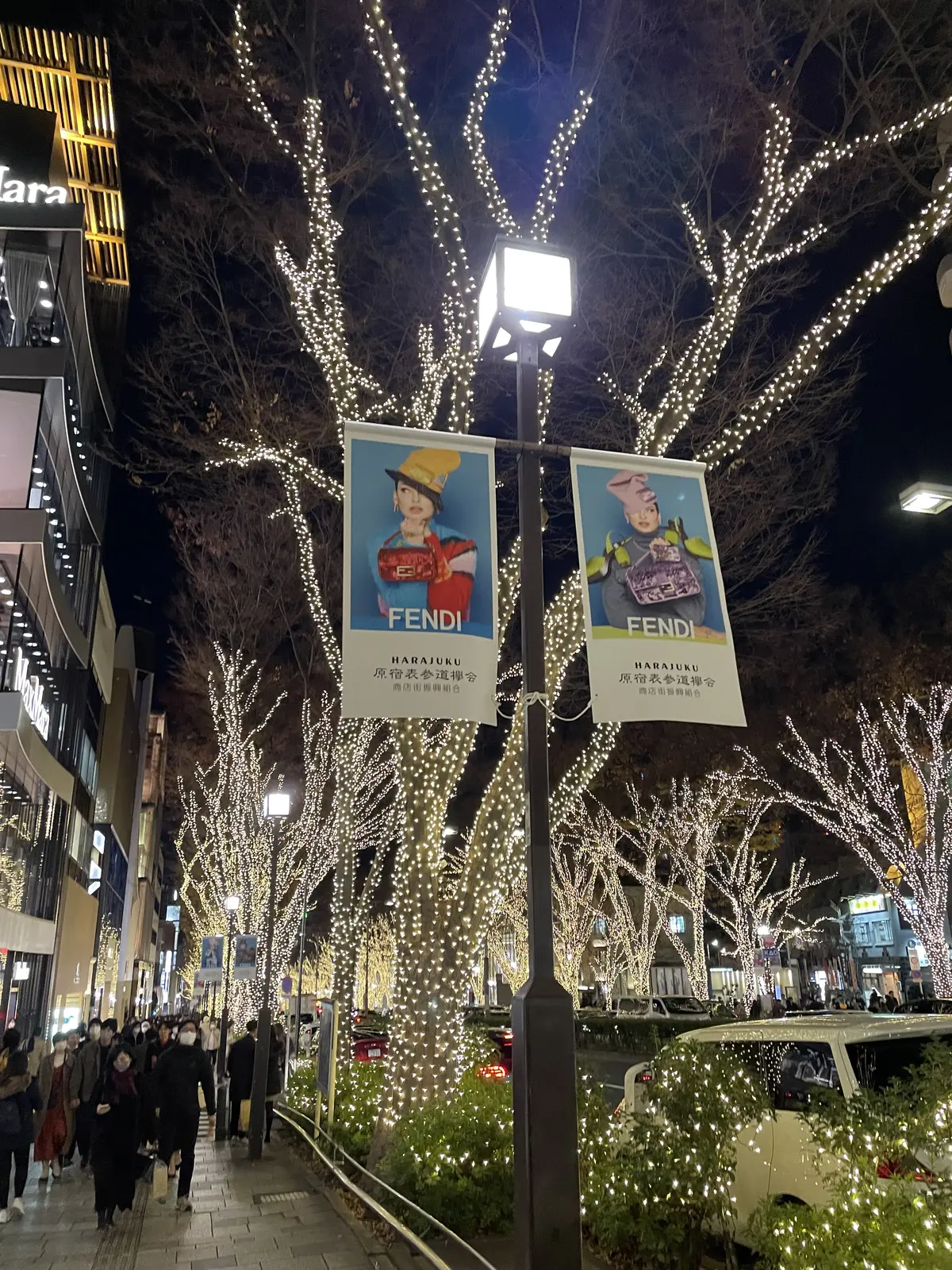 表参道。並木道。クリスマス。イルミネーション。クリスマスイルミネーション。夜。綺麗。街路樹。街路灯。フェンディ。FENDI。
