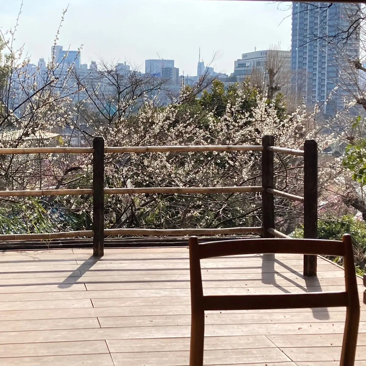 韻松亭店内の桜が見えるテラス