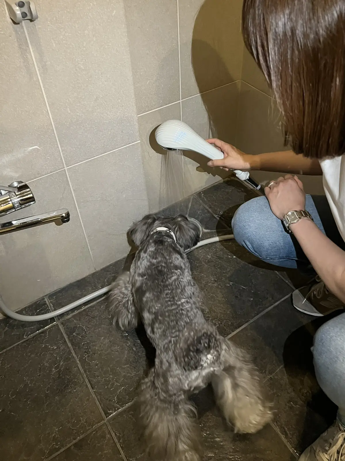 ハイアットリージェンシー箱根