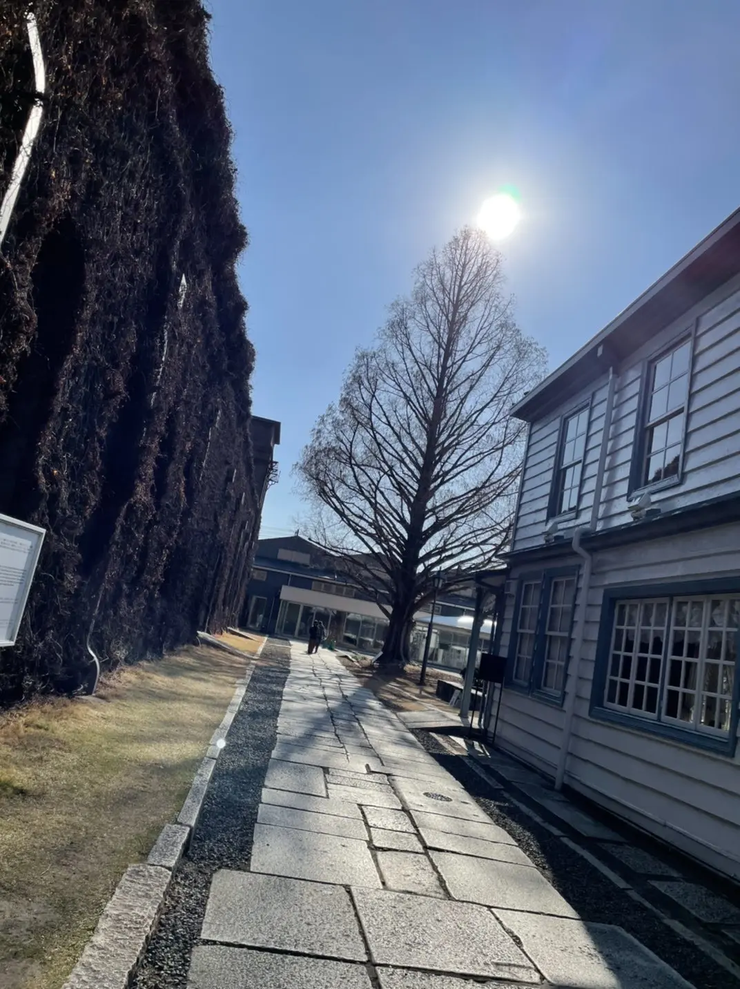 あけましておめでとうございます♬私のお正の画像_6