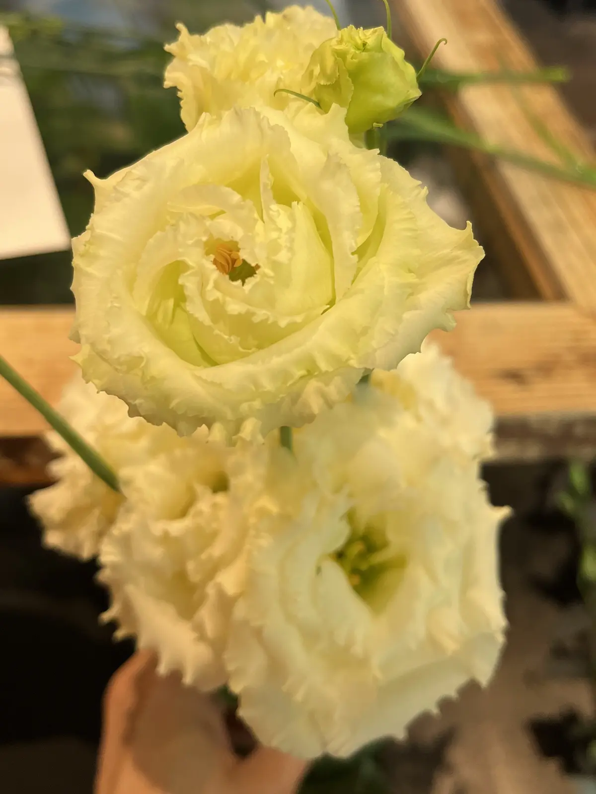 ほんのり秋色のブーケを束ねにの画像_3