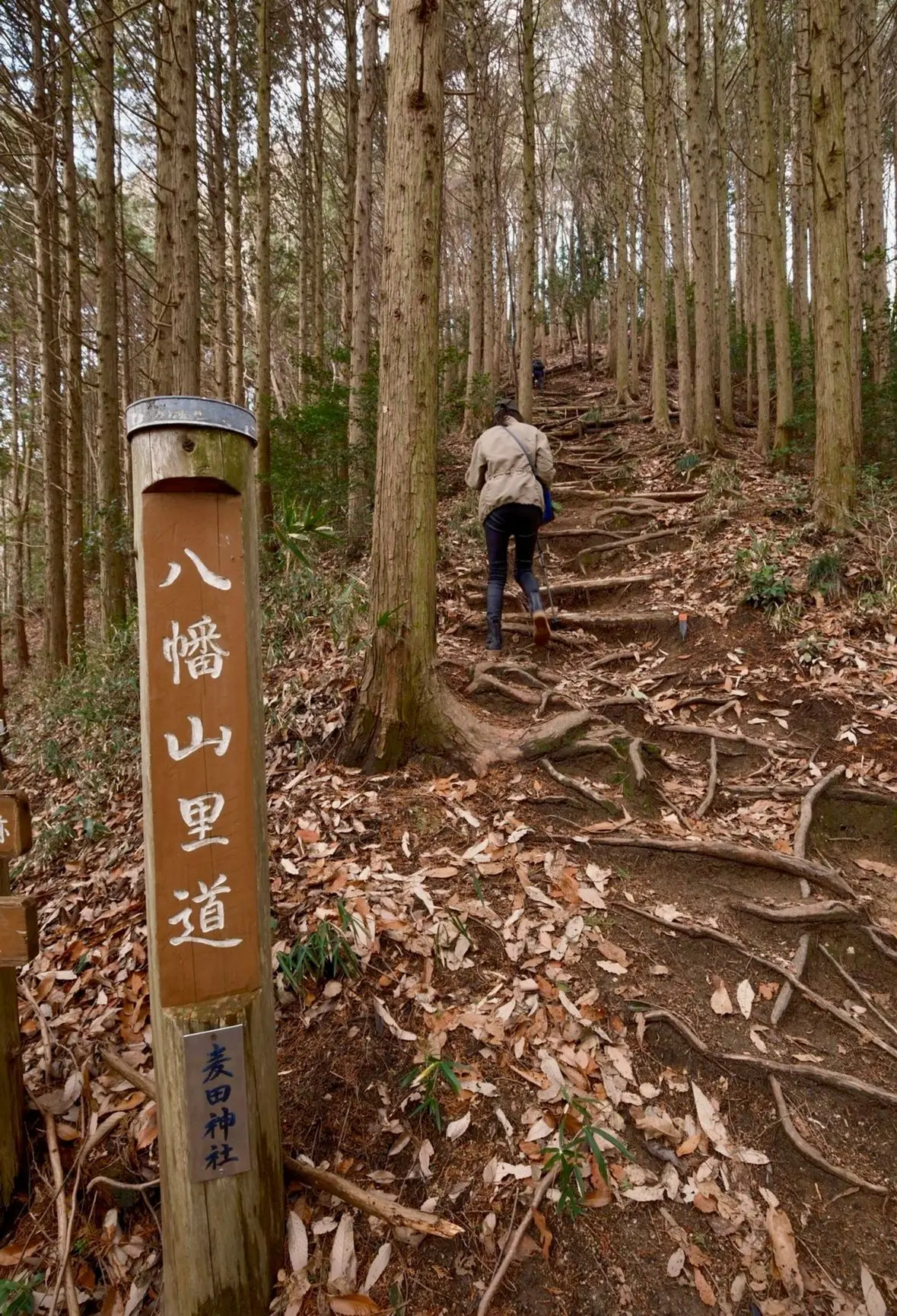 広島南アルプス