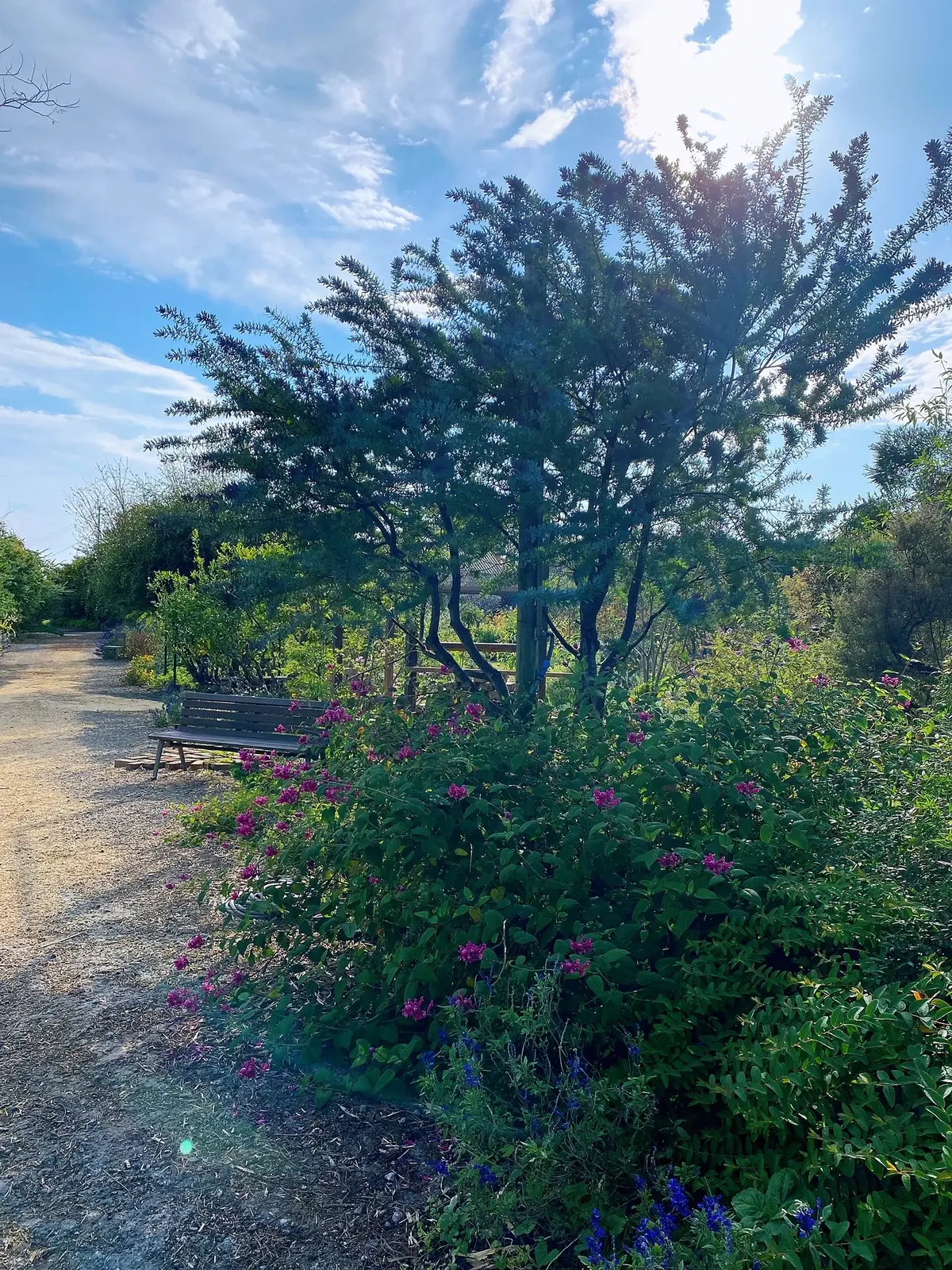 九州旅行　〜別府・美しい大神ファーム〜の画像_18