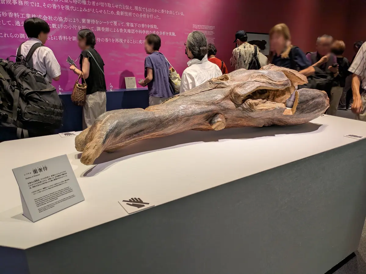 美は時を超える「正倉院 THE SHOWの画像_12