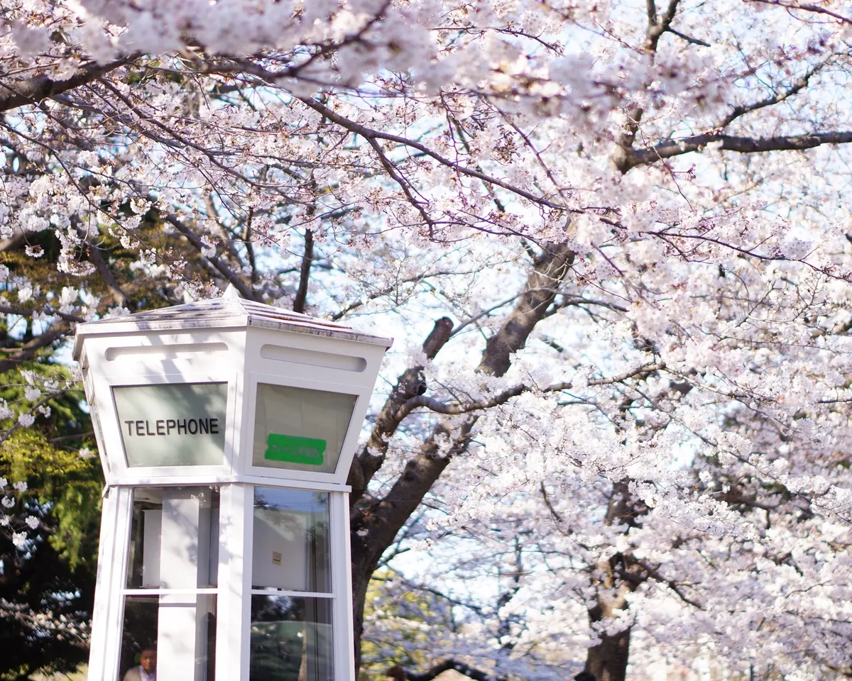 ポカポカ陽気に誘われて横浜への画像_3