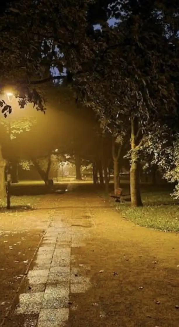 大人の夜の過ごし方✨の画像_4