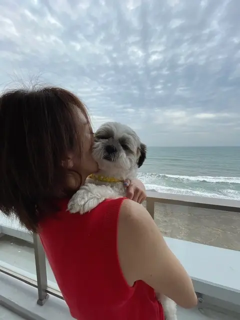 愛犬との旅行の画像_10