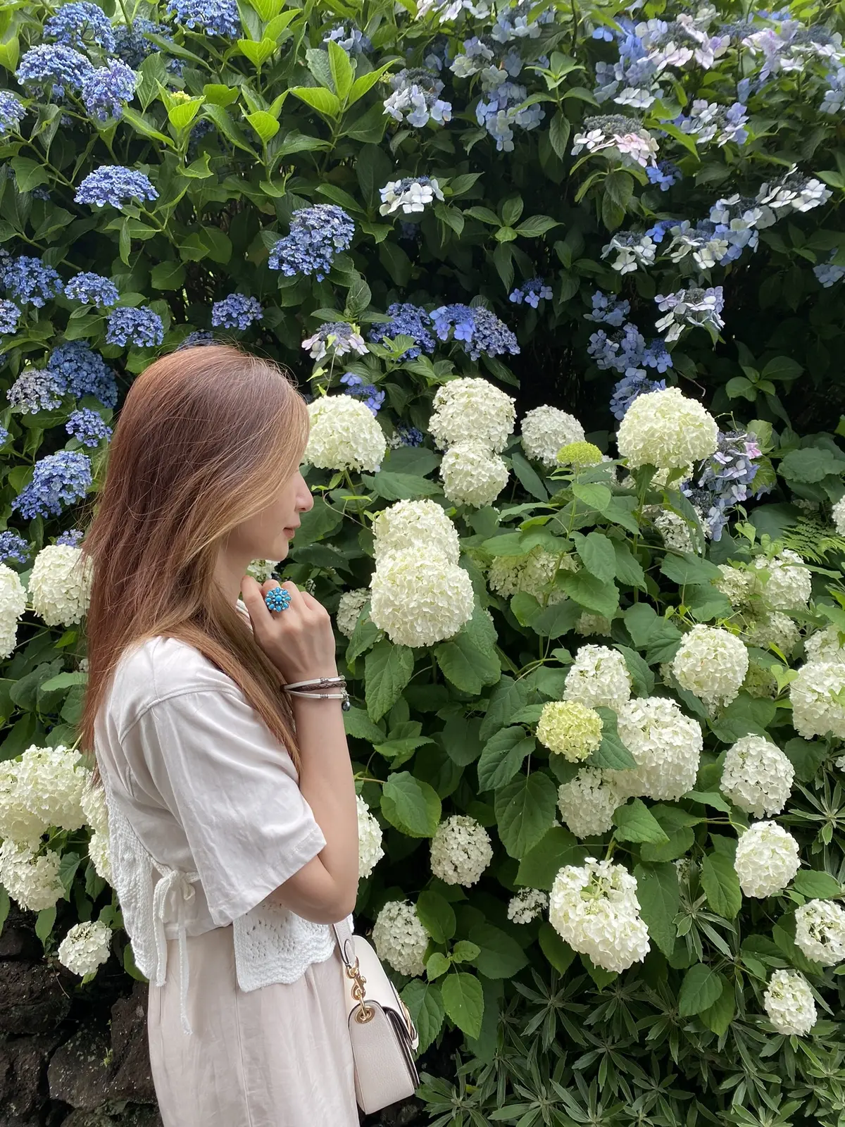 白い紫陽花と私