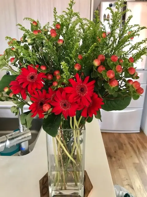 我が家の日常の花の画像_1