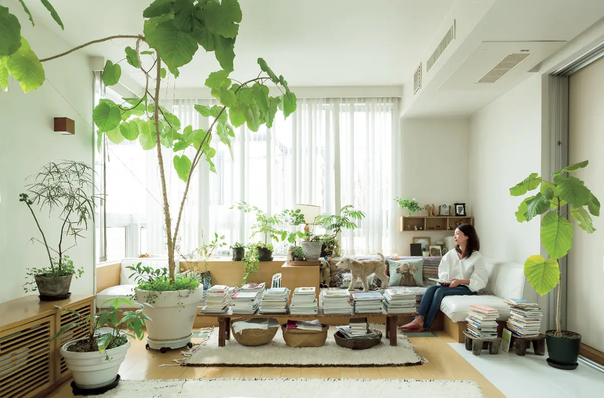 シンボルツリーを