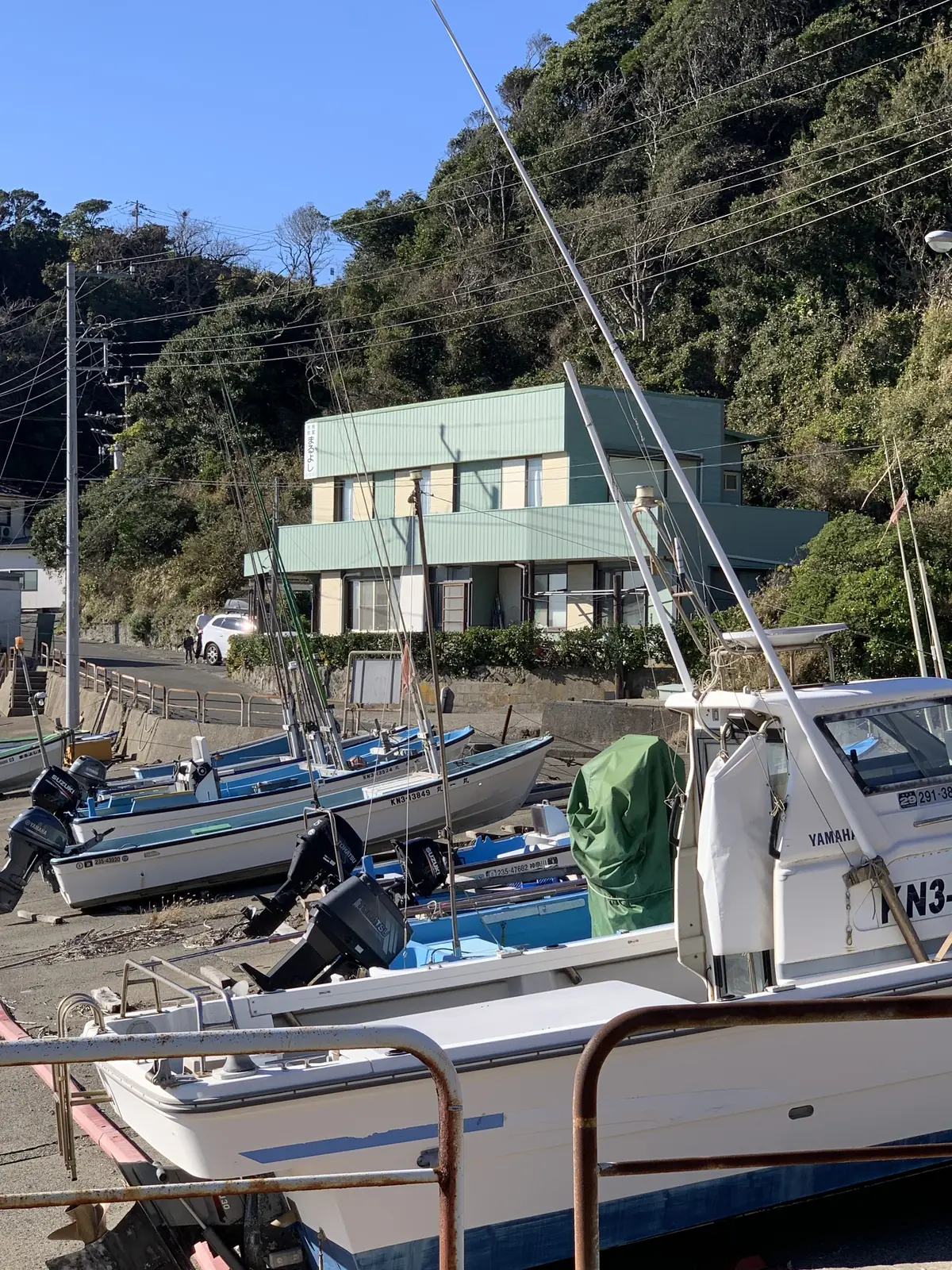 三崎　まるよし食堂　マグロ