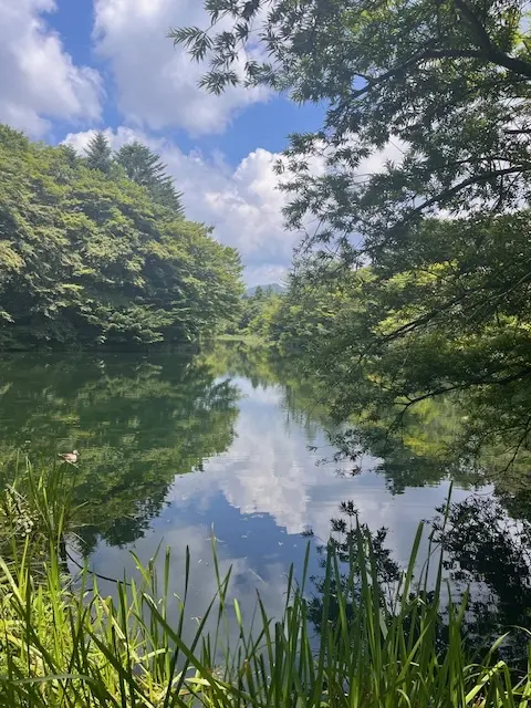 軽井沢雲場池