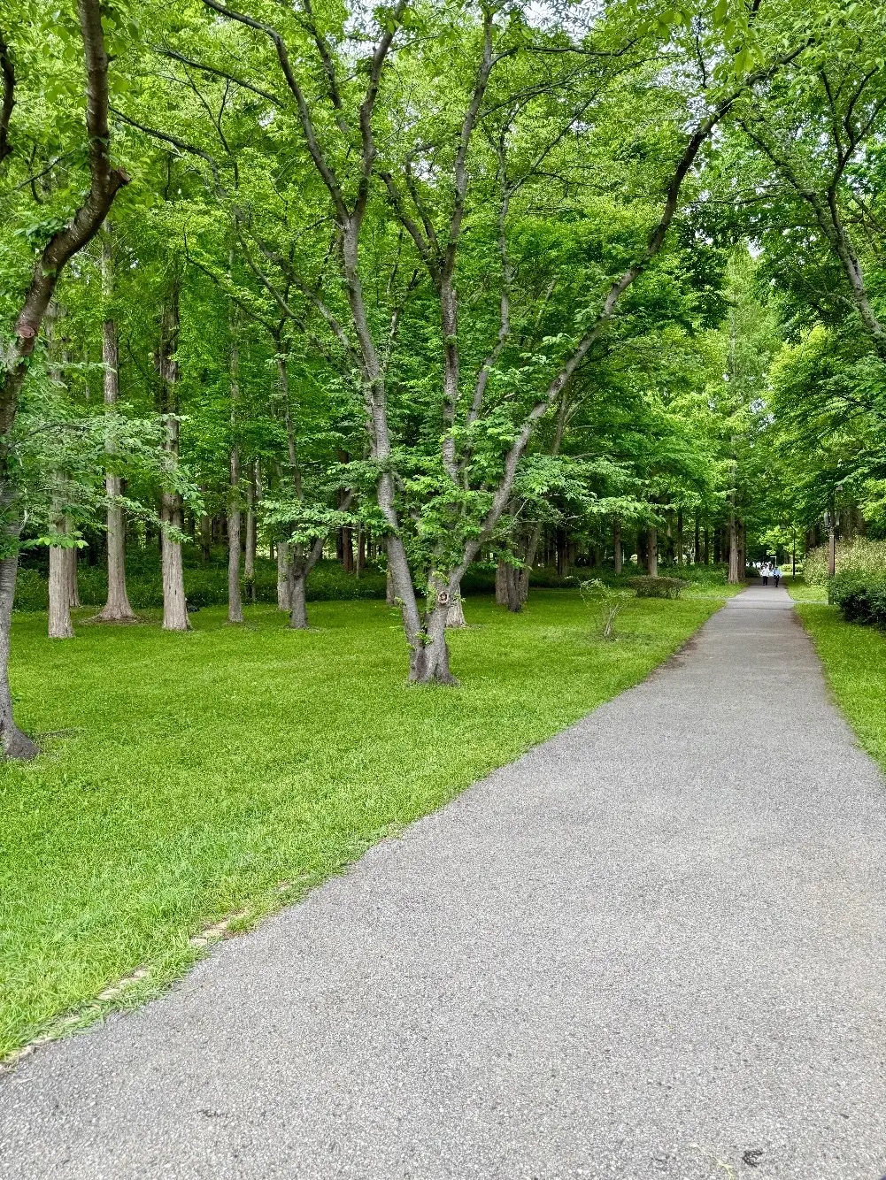 都立水元公園内