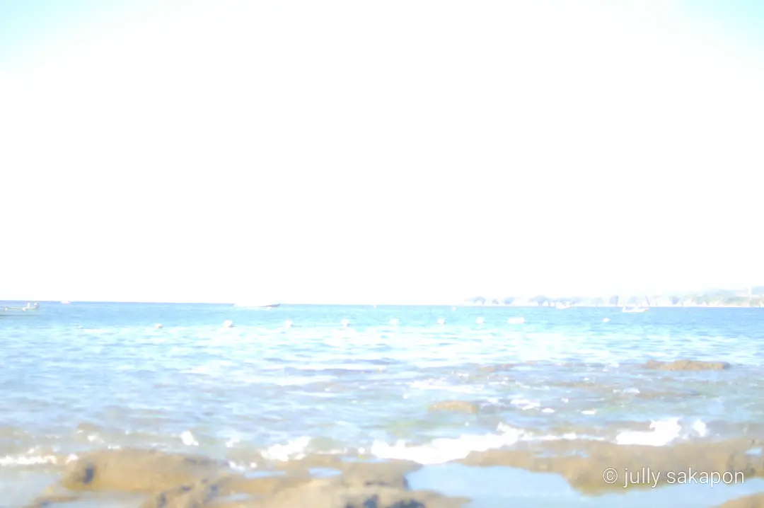 【さかぽんの冒険】三崎マグロきっぷ❤️海の画像_13